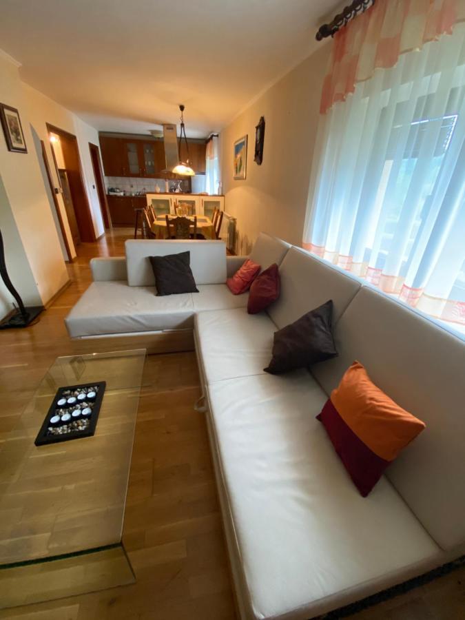 Apartment Tody'S Fužine Zewnętrze zdjęcie